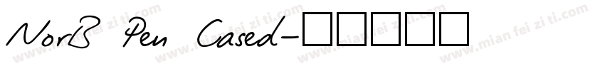 NorB Pen Cased字体转换